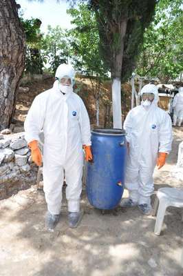 İzmir'de bir mahallede kuş gribi (2)