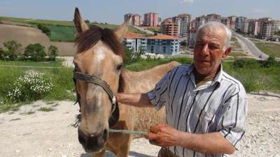 5 bin lira maaşlı at çobanı işi bıraktı