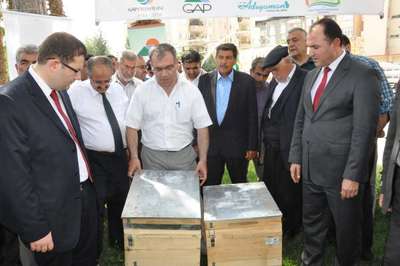 Adıyaman’da arıcılara 3 bin 120 kovan dağıtıldı