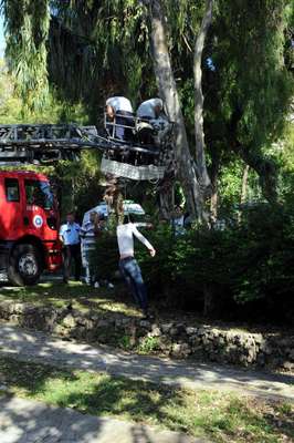 Ağaçtaki cesedi düşüren itfaiyecilere savcıdan fırça