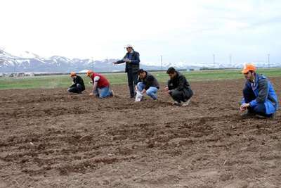 Erzurum ve Iğdır'da astronot besini kinoa ekildi