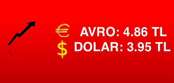 Avro ve dolardan yeni tarihi rekor