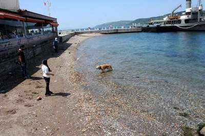 Boss'un deniz keyfi
