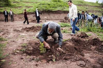 Ahlatlı 'Sofu Dayı' 10 bin fidan dikti
