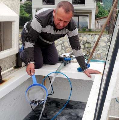 300 bin yavru levreğe İzmit Körfezi'nden cansuyu