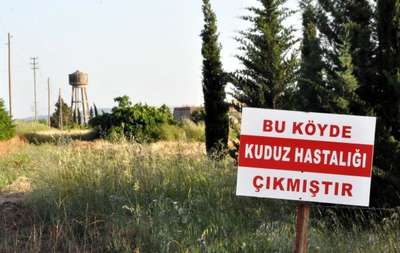 Adıyaman'da kuduz hastalığı karantinası