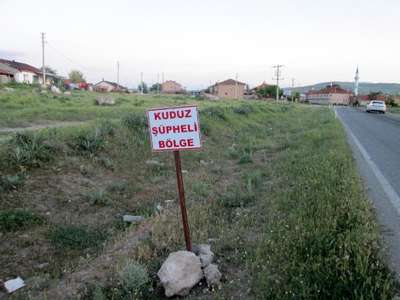 Kuduz vakası tespit edilen köy karantinaya alındı
