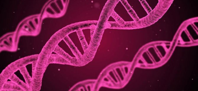 Tarihi yeniden yazan antik DNA bulundu