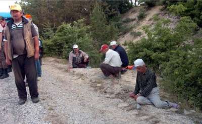 Traktör devrildi, sürücü öldü