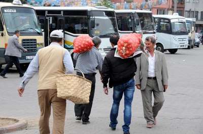 Kozlu'da belediye halka 50 ton ücretsiz soğan dağıttı