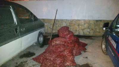 Enez'de 1 ton kaçak midye ele geçirildi