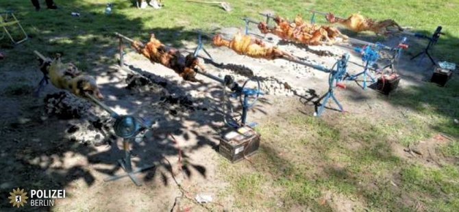 Berlin'de mangal alarmı