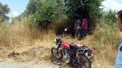 Yol kenarındaki ağaca çarpan motosikletli öldü