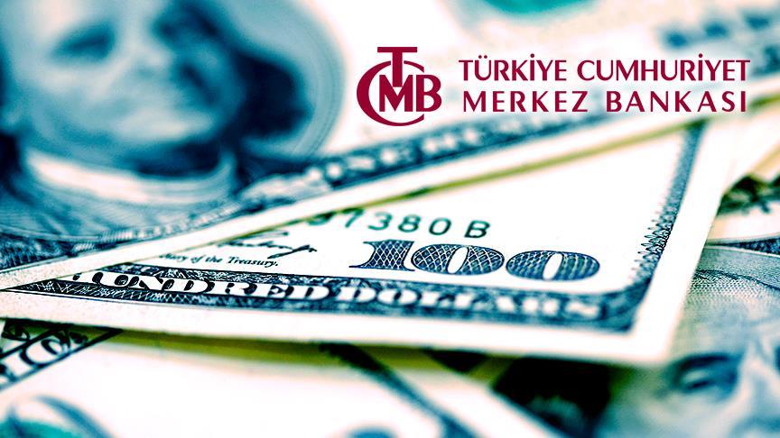 Merkez Bankası'ndan döviz alım ihalesi