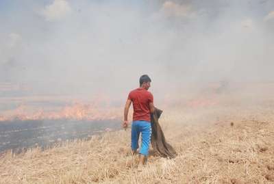 Akçakale'de 92 dönümlük arpa tarlası yandı