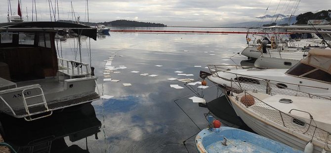 WWF: Akdeniz’i en çok Türkiye kirletiyor
