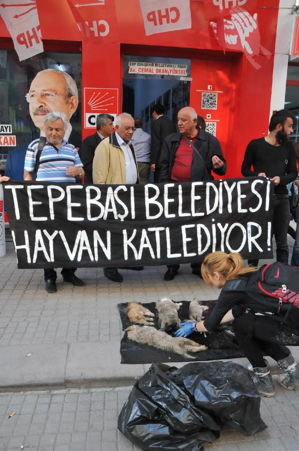 Köpek leşleriyle belediye protestosu