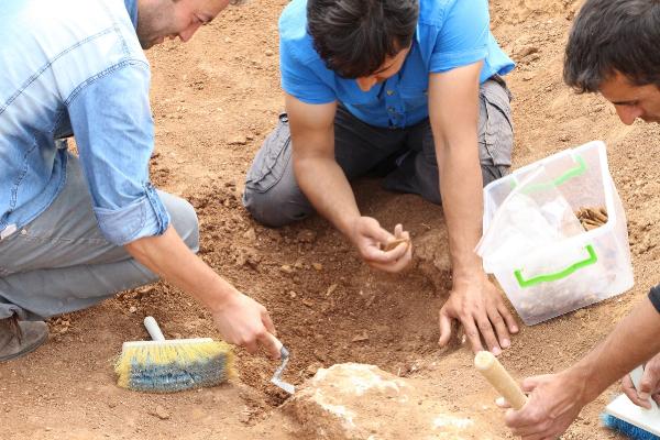 Mardin'de Tunç Devri'ne ait mezar bulundu