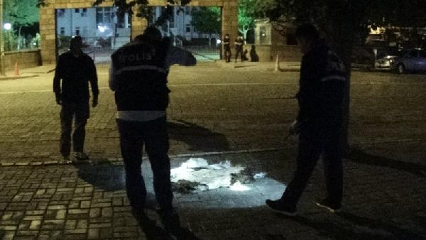 Iğdır'da valilik önündeki şüpheli poşetten koyun derisi çıktı