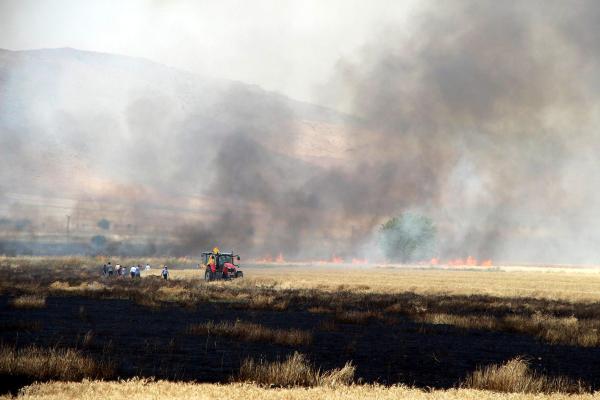 Buğday tarlasındaki yangını söndürmek için seferber oldular