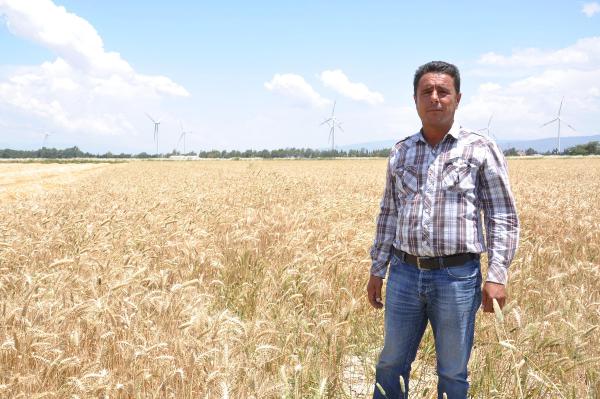 Sökeli buğday üreticisi en verimsiz sezonlarından birini yaşıyor