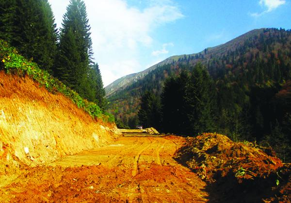 Çamlıhemşin'de ‘Yeşil Yol’ gerginliği