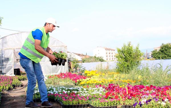 Tekmelenen madenci, Bergama Belediyesi'nde işe başladı