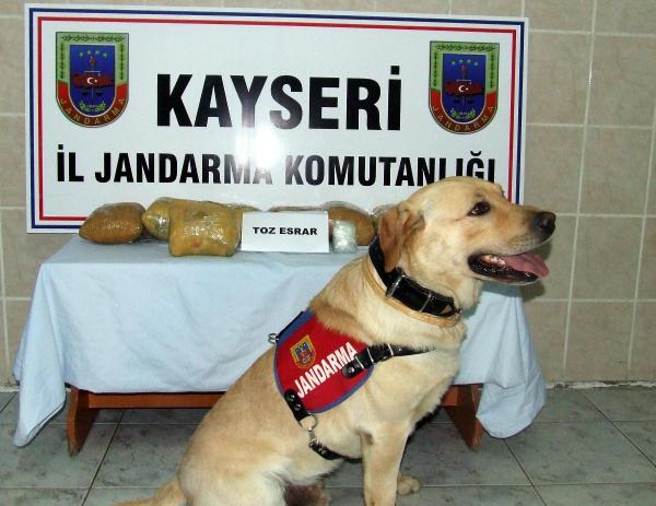 Kayseri jandarmadan esrar operasyonu