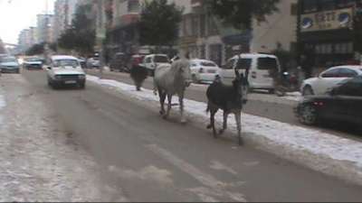 Trafikte at ve eşek kovalamacası