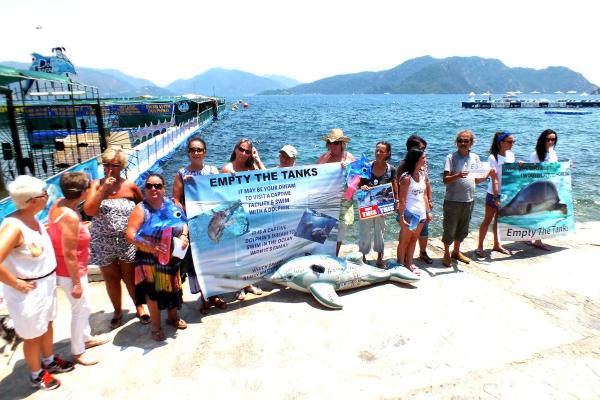 Marmaris'te 'yunuslara özgürlük' eylemi