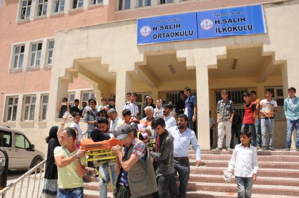 Van, Hakkari ve Bitlis'te seçime yoğun ilgi (3)