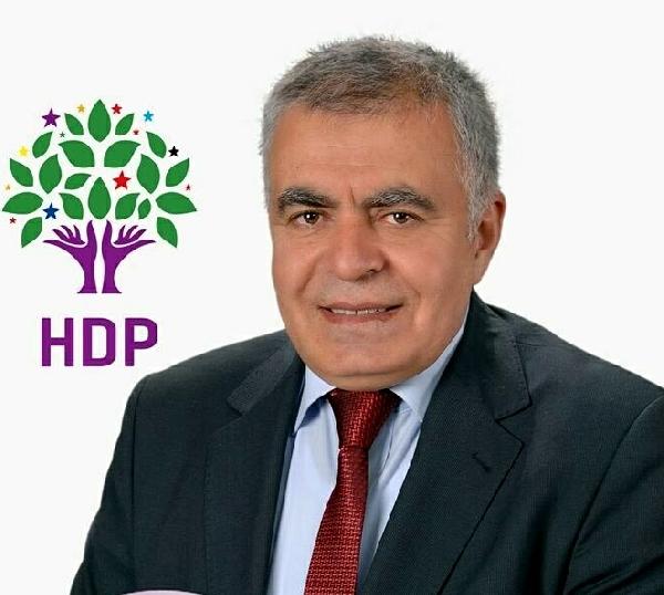 İzmir'den vekil seçilen HDP'li Doğan'dan 'emanet oy' açıklaması