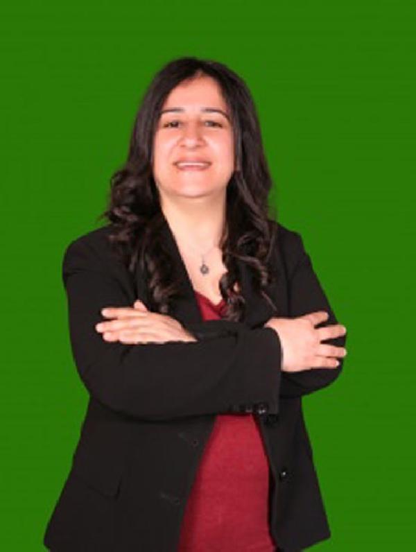 HDP'nin Meclis'e taşıdığı ilginç adaylar