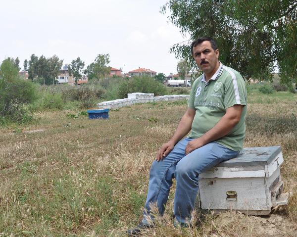 Çalınan kovanları bulana 2 bin TL ödül