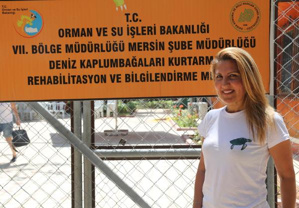 Deniz kaplumbağaları sahile yumurta bırakmaya başladı