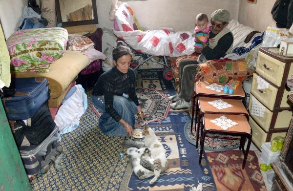 Geçim sıkıntısı çeken aile, sokak kedisi ve 4 yavrusuna bakıyor