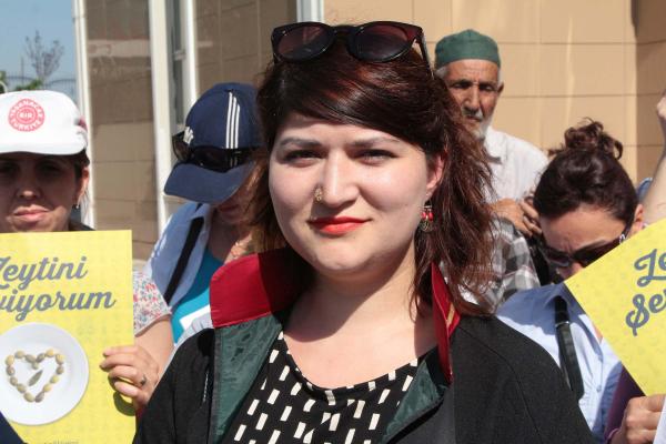 Yırca'da termik santral yapamayan Kolin, yeni yer için harekete geçti