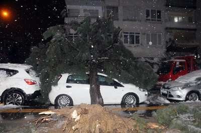 Yalova'da kar yağışı (2)