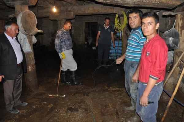 Sorgun'da dolu ve sel;  ağaçlar kökünden söküldü