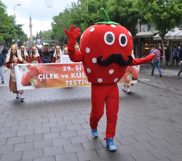 CHP'li Gürsel Tekin, çilek festivaline katıldı