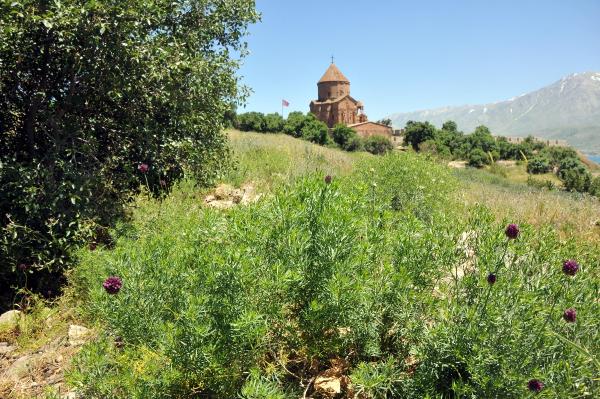 Tavşanla mücadele Akdamar Adası'na hayat verdi