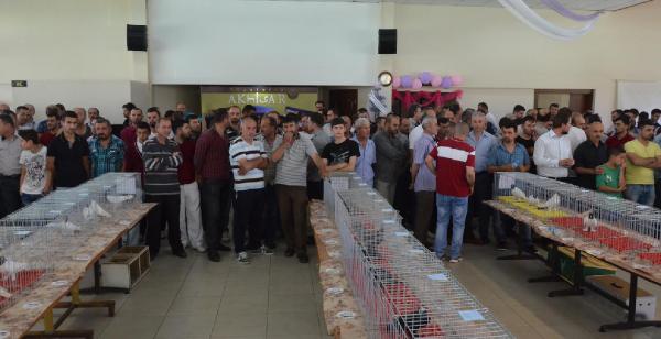 Akhisar'da en güzel güvercinler seçildi