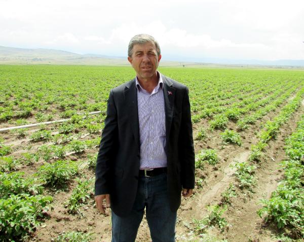Patates ambarı Sandıklı'da hasat gecikti