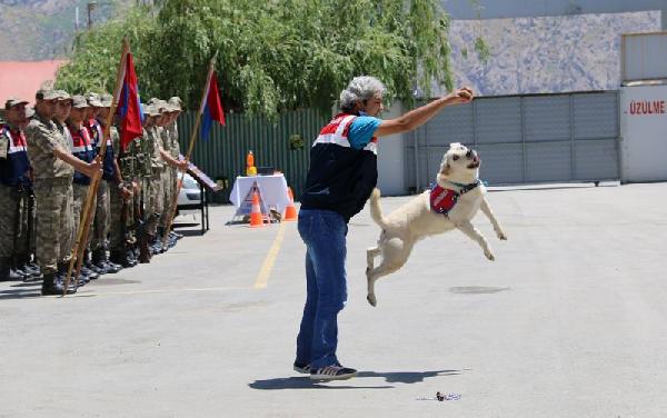 Hakkari'de jandarmanın gurur günü