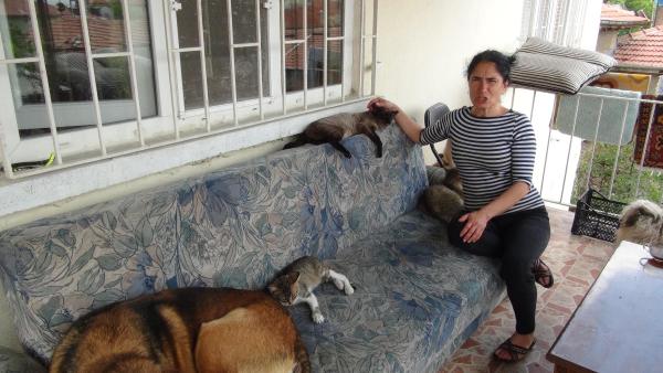 Evinde 200 kedi ve 20 köpeğe bakıyor