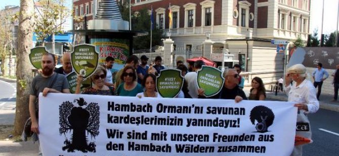 Çevreciler Almanya'yı protesto ettiler
