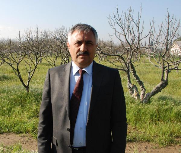Hava şartlarının vurduğu 'ilek' el yakıyor