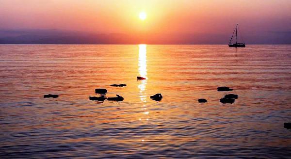 Suriyeli kaçaklar Bodrum'a dönmek zorunda kaldı