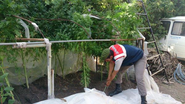 Marmaris'te evde hintkeneviri ve esrar ele geçirildi