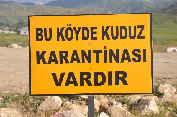 Yüksekova'da 2 köye kuduz karantinası